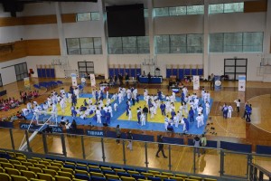 maja-judo-otvaranje (1)